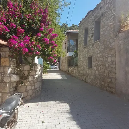 Tas Ev *