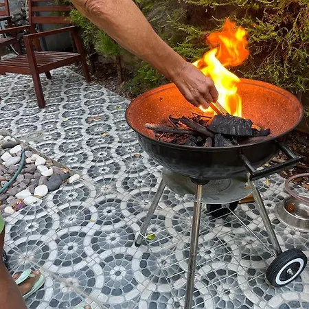 Tas Ev
